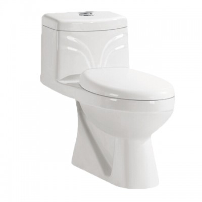 Luxury Portable Toilet Seat with Flush Valve Portable Toilet